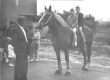 Hemmerechts met zoon en dochter te paard 1966.jpg
