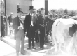 wijkburgemeester bij de veekeuring 1966.jpg